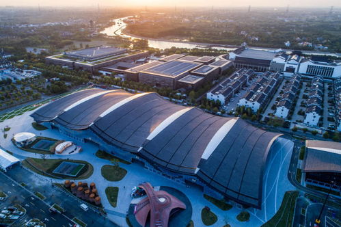 拔節(jié)生長 桐鄉(xiāng)7年間數(shù)字經(jīng)濟企業(yè)從355家增至2443家